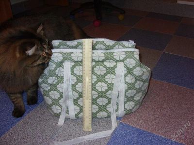 Лот: 1308198. Фото: 1. Сумка для кота или собачки (повторно... Домики, переноски, клетки, когтеточки