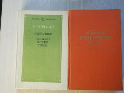 Лот: 11411625. Фото: 1. А. Костёлов, Возгорится пламя. Другое (учебники и методическая литература)