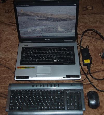 Лот: 4427263. Фото: 1. Ноутбук Toshiba Satellite L40... Ноутбуки
