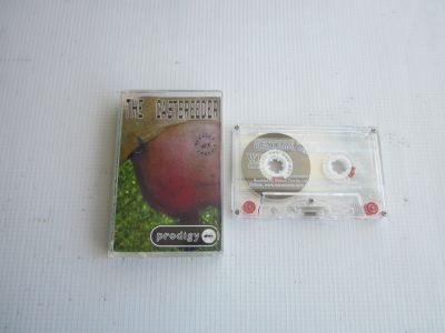 Лот: 18189710. Фото: 1. Prodigy "The Castbreeder" (1998... Аудиозаписи