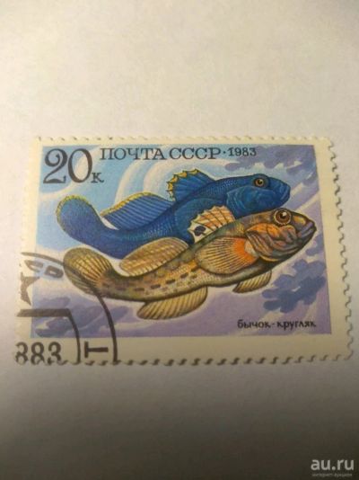 Лот: 13849866. Фото: 1. Марка ссср бычок-кругляк 1983. Марки