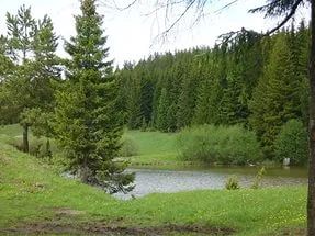 Лот: 7085496. Фото: 1. Снимем в аренду или купим в рассрочку... Дачи