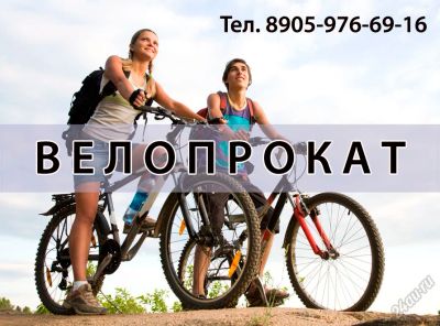 Лот: 5604623. Фото: 1. Велопрокат, бесплатная доставка... Другие (прокат и аренда)