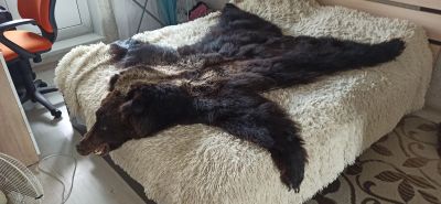 Лот: 20657169. Фото: 1. Ковер в виде шкуры медведя (имитация... Ковры