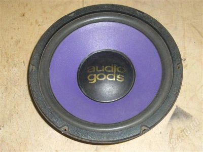 Лот: 486287. Фото: 1. AudioGods p-100. Нч. динамик 300вт... Пассивные акустические системы