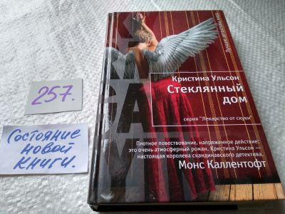 Лот: 17620910. Фото: 1. oz меш. (17..019) Ульсон Кристина... Художественная