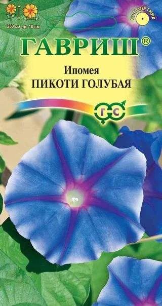 Лот: 11024249. Фото: 1. Ипомея Пикоти Голубая 0,3гр. Садовые цветы