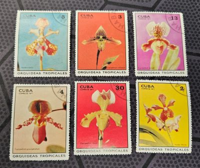 Лот: 24669547. Фото: 1. Марки: Куба. 1971. Цветы (гашеная... Марки
