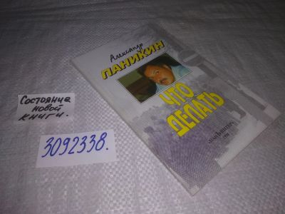Лот: 24918973. Фото: 1. oz(3092338)Паникин А. Что делать. Публицистика, документальная проза
