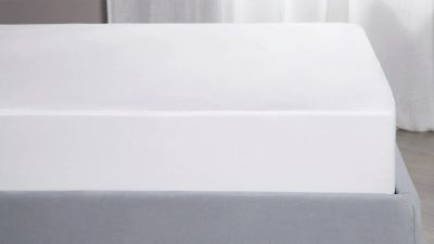 Лот: 24618292. Фото: 1. Чехол Protect-a-bed Tencel. Наматрасники