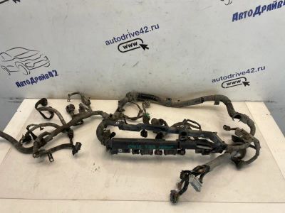 Лот: 21702019. Фото: 1. проводка двс Honda Civic Ferio... Двигатель и элементы двигателя