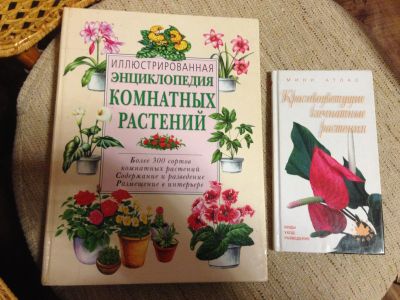 Лот: 12313278. Фото: 1. Две книги, две энциклопедии комнатных... Другое (комнатные растения и уход)