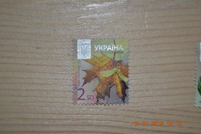 Лот: 6776346. Фото: 1. Марка Украины для коллекции. Клен. Марки
