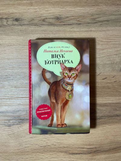 Лот: 20679018. Фото: 1. "Внук котриарха" Наталья Нечаева. Художественная