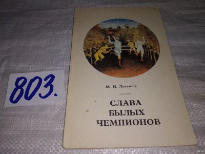 Лот: 13516284. Фото: 1. Лукашев М.Н., Слава былых чемпионов... Спорт, самооборона, оружие