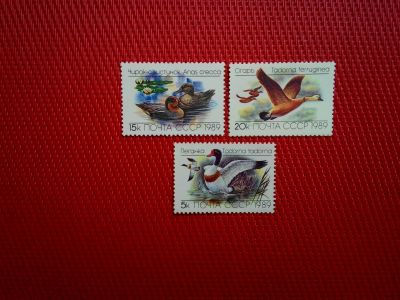 Лот: 11935595. Фото: 1. 1989, июль. Утки. Полная серия. Марки