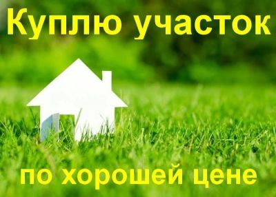 Лот: 12230069. Фото: 1. Куплю участок Рябинино, Арейское... Земельные участки