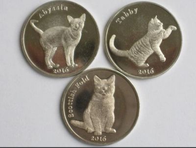 Лот: 8369933. Фото: 1. На ЗАКАЗ Остров Строма (Шотландия... Другое (монеты)