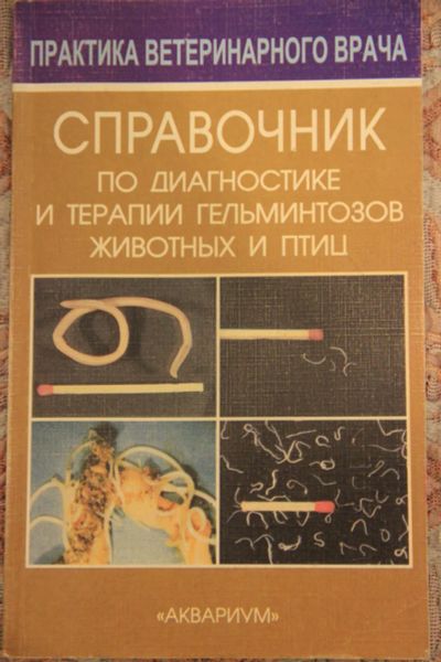 Лот: 6464782. Фото: 1. Справочник по диагностике и терапии... Справочники
