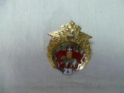 Лот: 3283787. Фото: 1. значок Пермского военного института... Юбилейные
