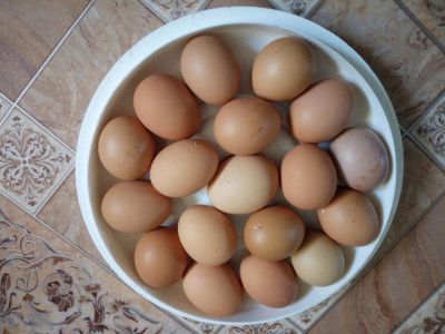 Лот: 10449177. Фото: 1. Яйцо домашних кур. Мясо, птица, яйцо