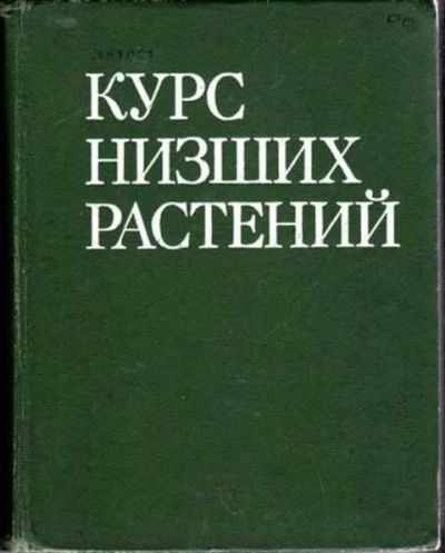 Лот: 12256769. Фото: 1. Курс низших растений. Биологические науки