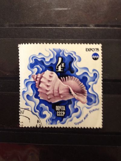 Лот: 5119995. Фото: 1. 1975 "Экспо-75" Моллюск рапана... Марки