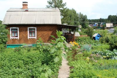 Лот: 4344032. Фото: 1. Дача 60 м на участке 8.2 сот. Дачи