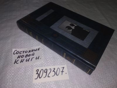 Лот: 24398061. Фото: 1. (3092307)Дашкова Полина. Херувим... Художественная