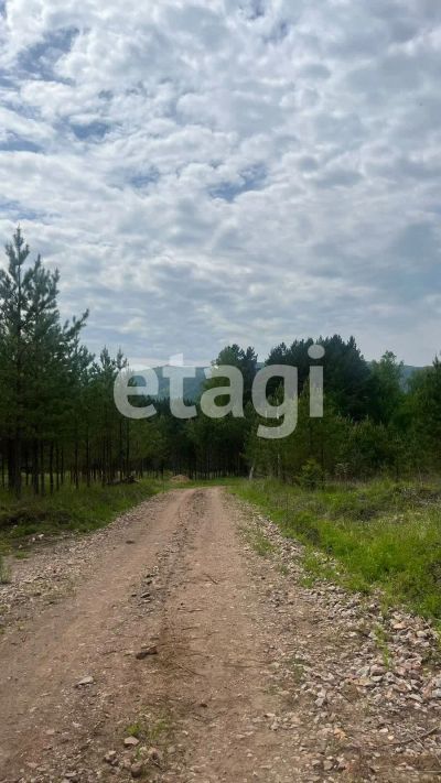 Лот: 25293053. Фото: 1. участок , посёлок Манский посёлок... Земельные участки