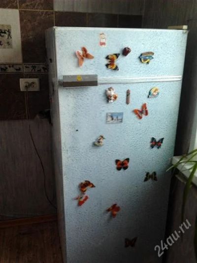Лот: 1432952. Фото: 1. продам холодильник Бирюса-6. Холодильники, морозильные камеры