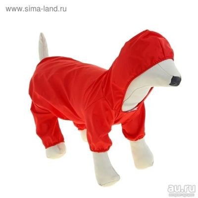 Лот: 8159923. Фото: 1. Комбез для собак мелких пород... Ошейники, одежда, конное снаряжение