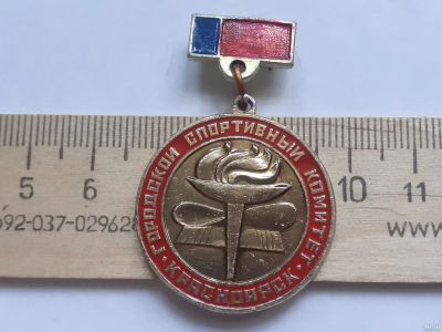 Лот: 18138289. Фото: 1. (№10725) значки спорт,Красноярск... Памятные медали