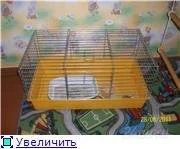 Лот: 1573050. Фото: 1. клетка. Домики, переноски, клетки, когтеточки