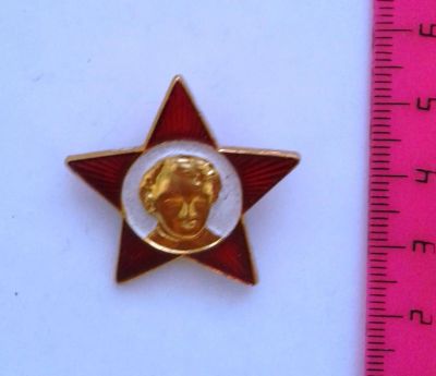 Лот: 6050954. Фото: 1. значок " Октябрёнок". Другое (значки, медали, жетоны)