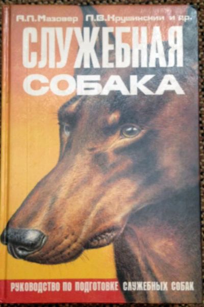 Лот: 4271518. Фото: 1. Служебное собаководство. Другое (животные и уход)