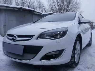 Лот: 5652875. Фото: 1. Защитная сетка радиатора Opel... Другое (автохимия, масла, тюнинг)