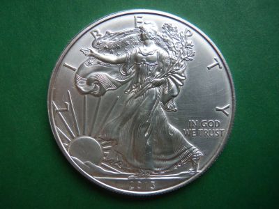 Лот: 20909610. Фото: 1. США 1 доллар 2013 г. Шагающая... Америка
