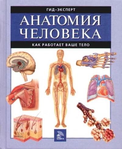 Лот: 8272530. Фото: 1. «Анатомия человека: Как работает... Познавательная литература