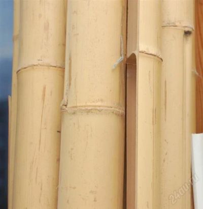 Лот: 2807480. Фото: 1. Бамбук. Другое (строительные материалы)