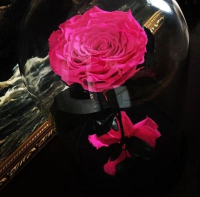 Лот: 15846869. Фото: 1. Роза в колбе розовая. Свежие цветы