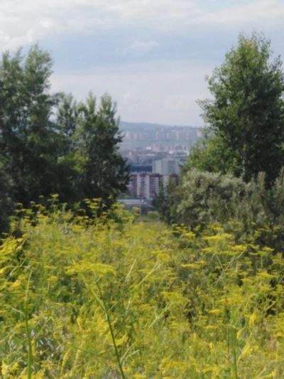 Лот: 17960753. Фото: 1. Участок 10 сот. (ИЖС). Земельные участки