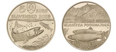 Лот: 25849046. Фото: 1. 5 евро 2025 года Словакия Дунайский... Европа