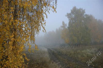 Лот: 341258. Фото: 1. Фотокартина-отличный подарок... Фотографии