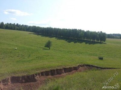 Лот: 3004639. Фото: 1. земельный участок кузнецова,около... Подвалы, погреба, кладовые