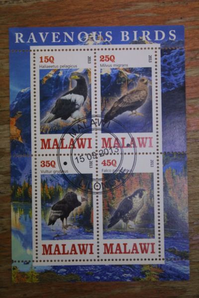 Лот: 21143304. Фото: 1. Малави 2013 Хищные птицы. Малый... Марки