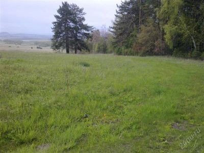 Лот: 2445655. Фото: 1. Земельный участок. Земельные участки