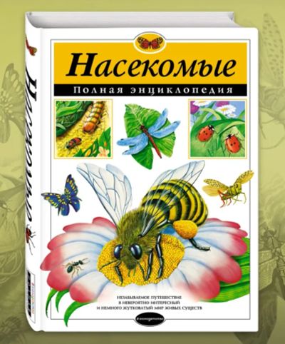 Лот: 25802643. Фото: 1. 📘 Тамара Грин. Насекомые. Полная... Познавательная литература