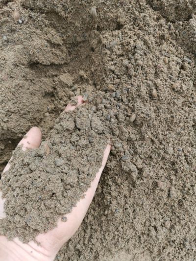 Лот: 17276702. Фото: 1. строительный песок (10кубов). Песок, гравий, инертные материалы