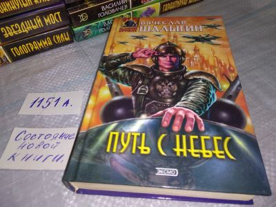 Лот: 18441150. Фото: 1. Шалыгин Вячеслав, Путь с небес... Художественная